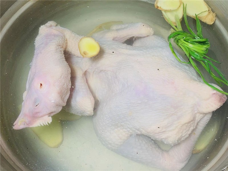 粤菜名菜白切鸡皮爽肉滑骨都有味,经典粤菜100款家常菜白切鸡做法