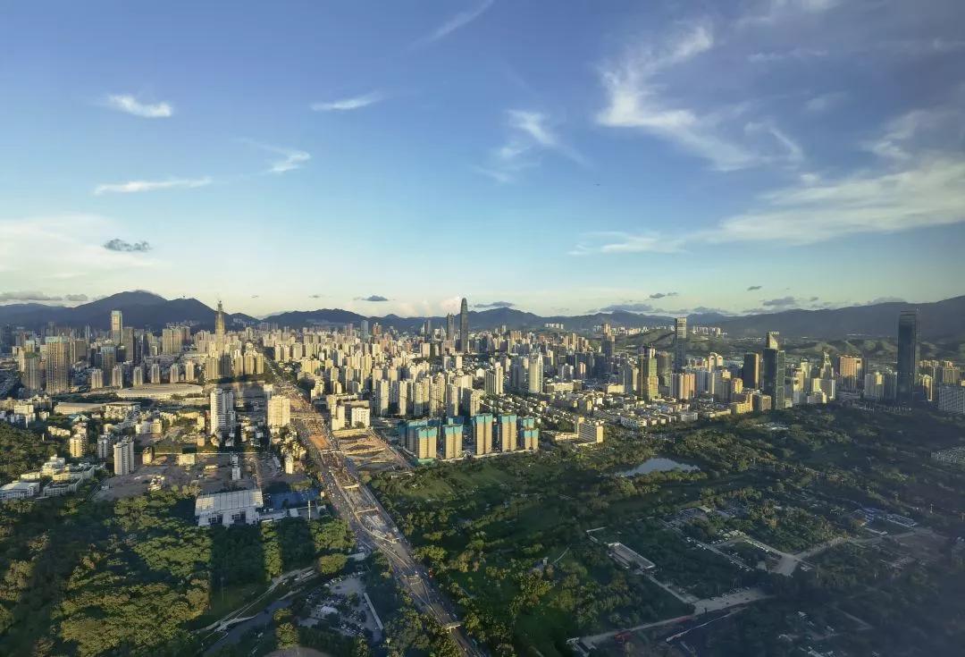 理论中心组进行集体学习,理论学习中心组集体学习计划