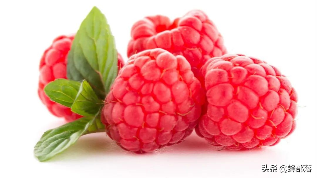 2021农村投资什么行业前景好,2019农村创业好项目投资小利润大