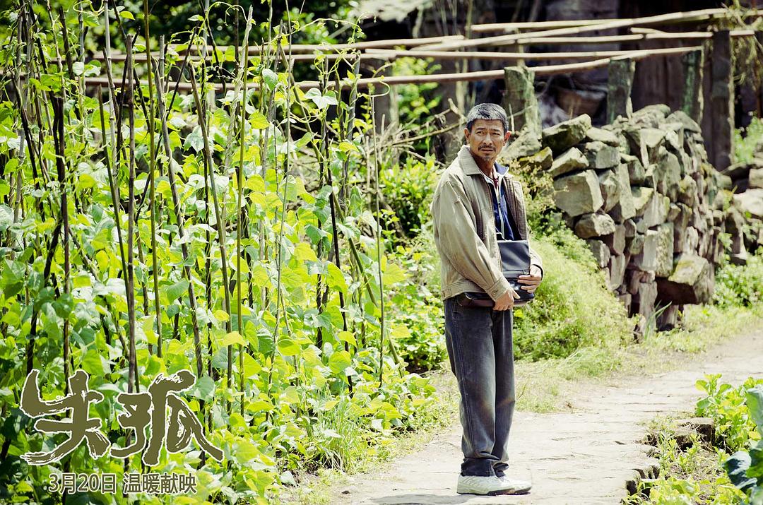 关于失孤电影,电影失孤完整版