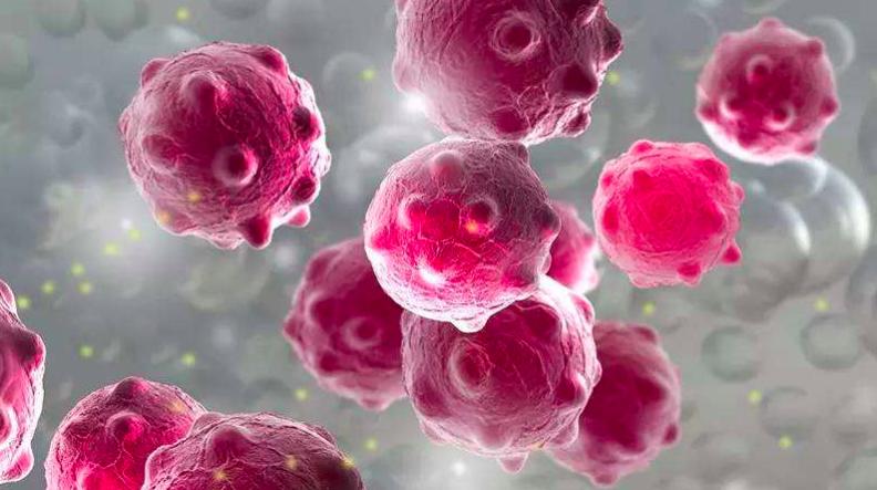 新冠病毒到现在地球上死了多少人 (新冠病毒地球一天死多少人)