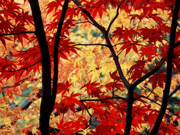 肖战为您代言的雅诗兰黛#333试色!一小时带货4000万