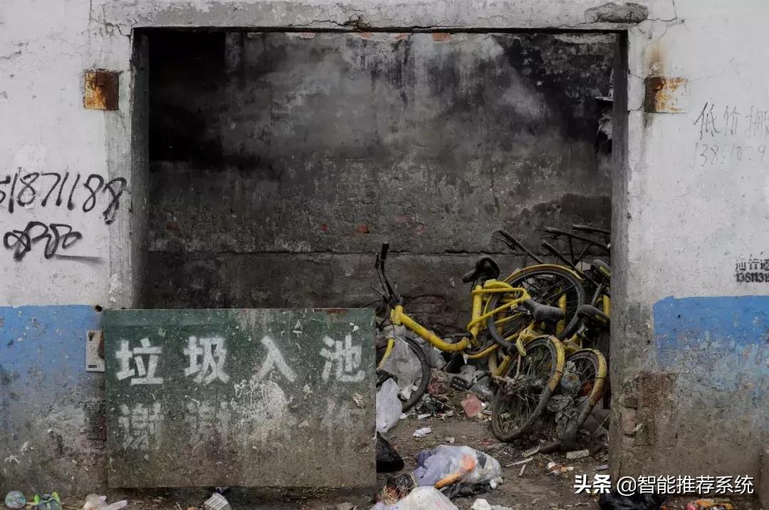 ofo最新现状,ofo最新资讯