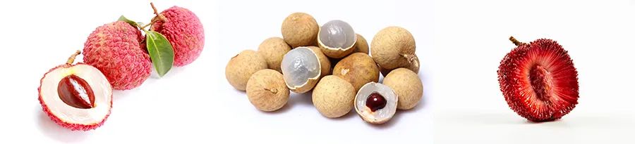 你吃过蘸酱油的杨梅吗,杨梅吃法蘸盐