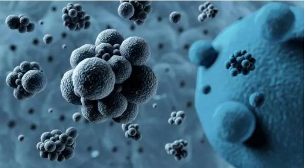 高危型hpv39为阳性是什么意思,hpv高危阳性用保妇康栓能转阴吗