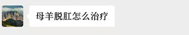 大母羊脱肛最佳的治愈方法,母羊脱肛怎么解决