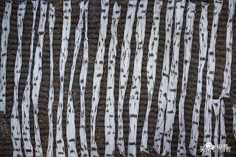 吴国勇共享单车,对话吴勇