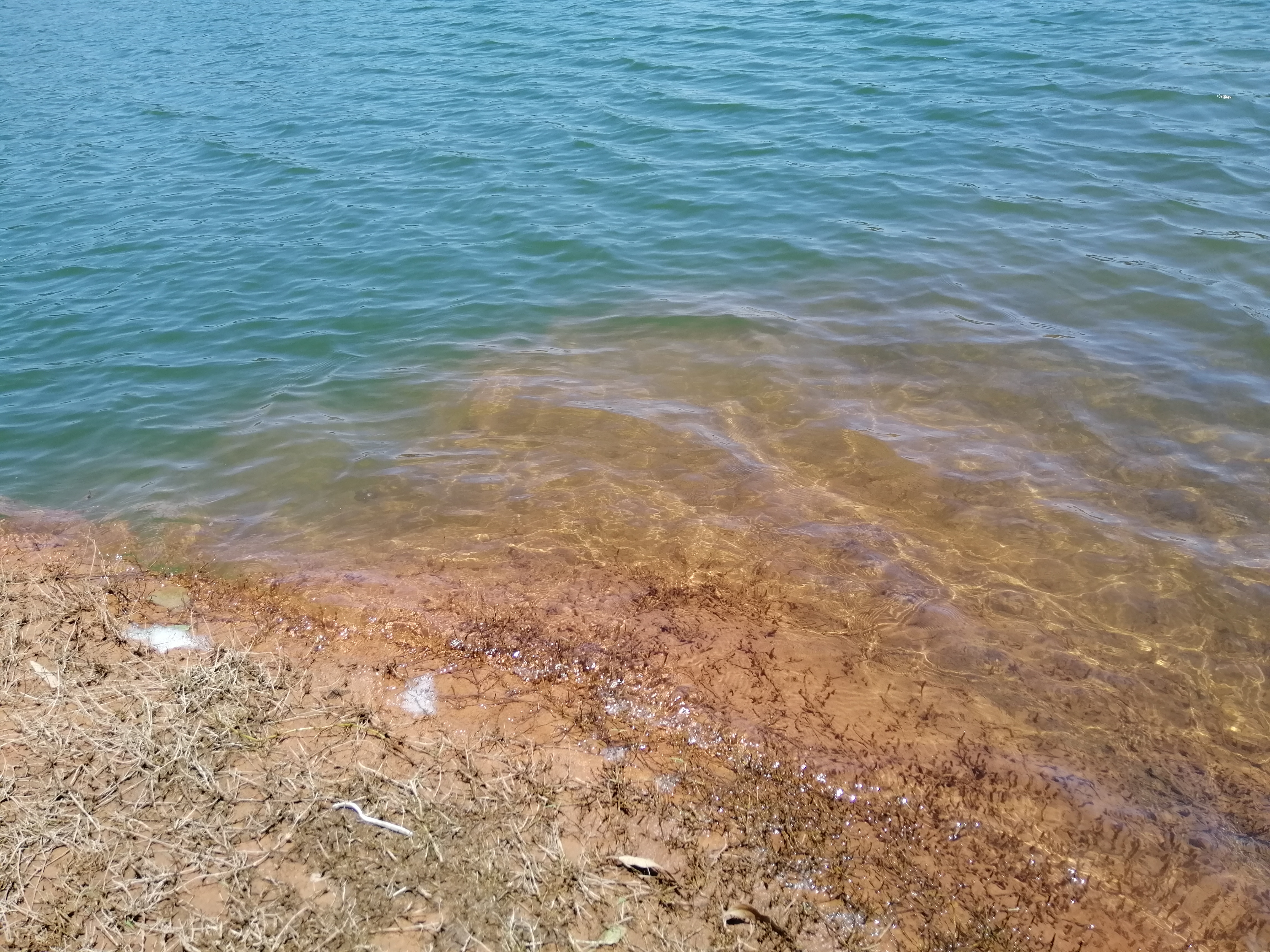 探钓深山水库,总岗山水库钓位