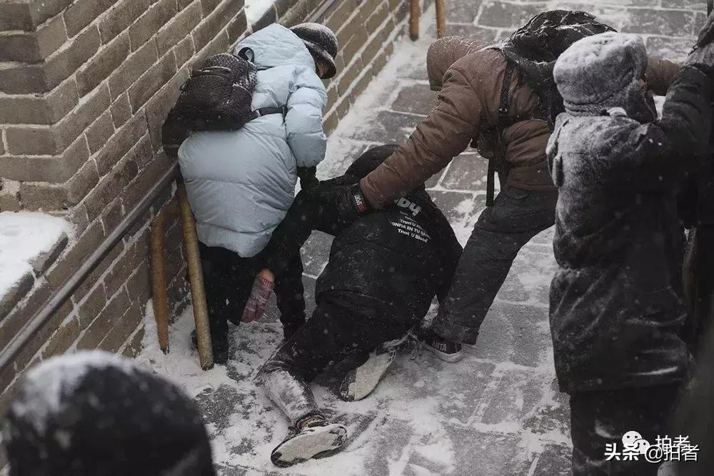 北京迎初雪9只熊猫,北京喜迎初雪去北京动物园看熊猫