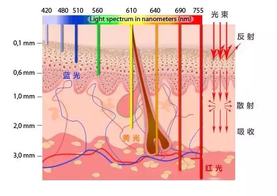 你的脱发到几级了,你的脱发还有得救吗