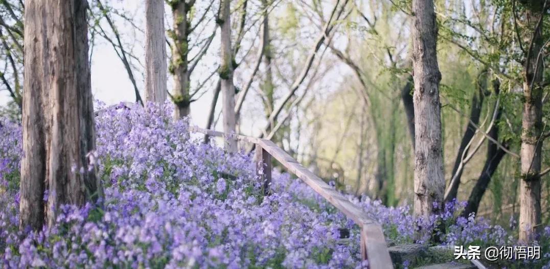 小奈良景区,北京小奈良紫玉山庄