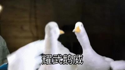 河南卫视中秋奇妙游星空,河南卫视中秋奇妙游直播