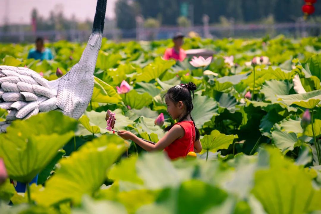 在济南花式避暑，一见“清”心！只需一瞥，便足以把酷夏原谅…