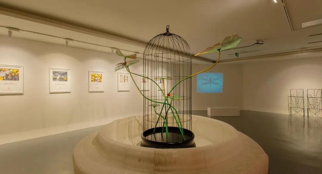 1987年少东家当总裁，温州老板钱金波的红蜻蜓一飞就是25年