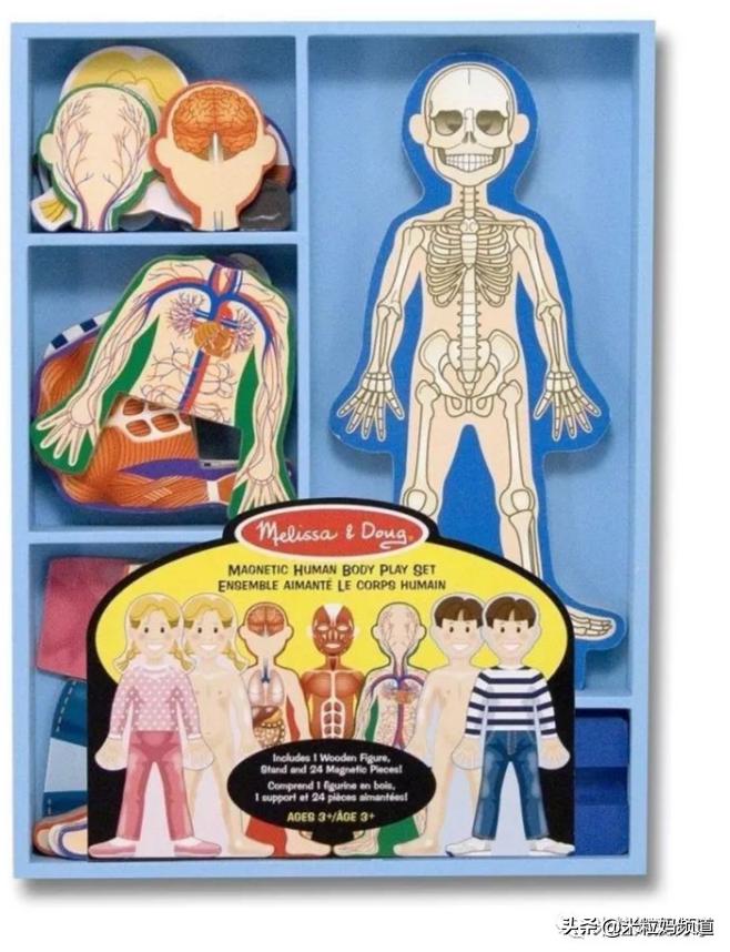 省下万元早教费,轻松省下两万早教费