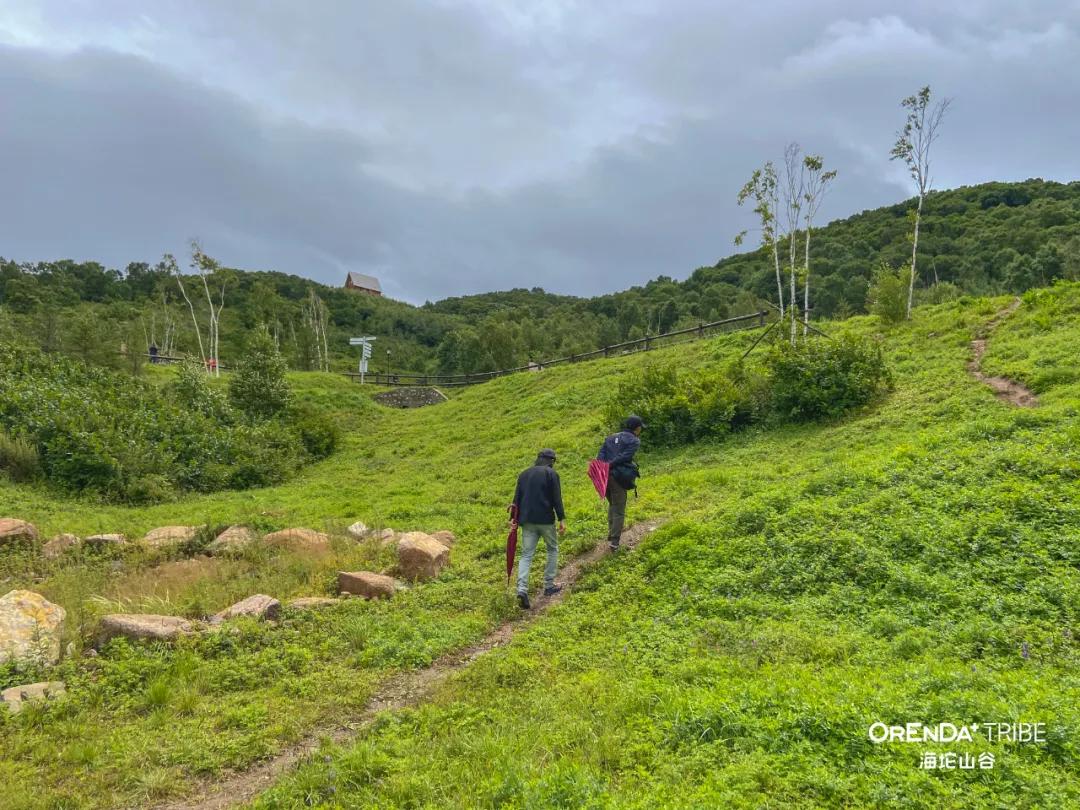 回望2020海坨耕耘路,以待2021山谷新美好