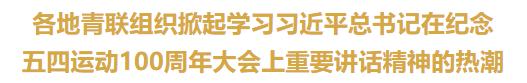 各地青联组织掀起学习习*平近**总书记在纪念五四运动100周年大会上重要讲话精神的热潮
