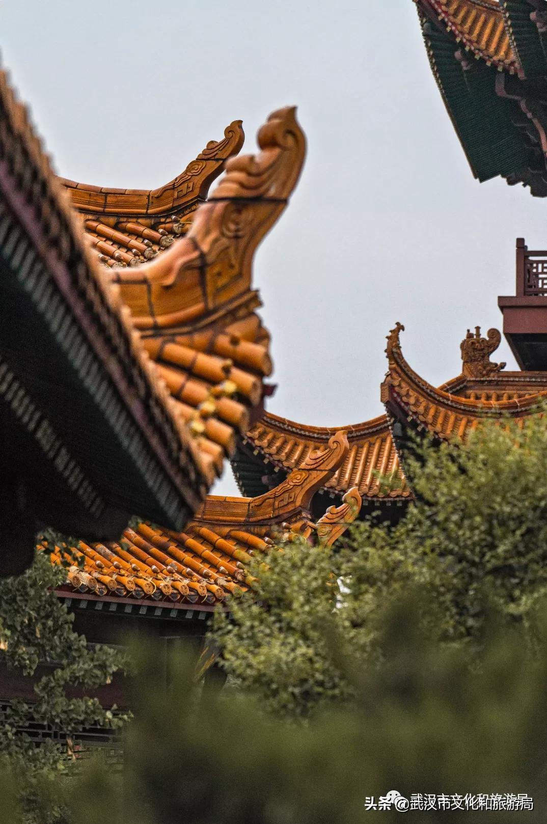 武汉江边最高的建筑,武汉江边高楼