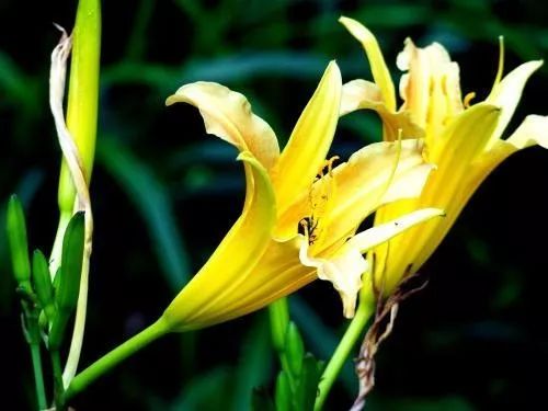 贝尔荒野求生取水教程,荒野求生必备小技巧