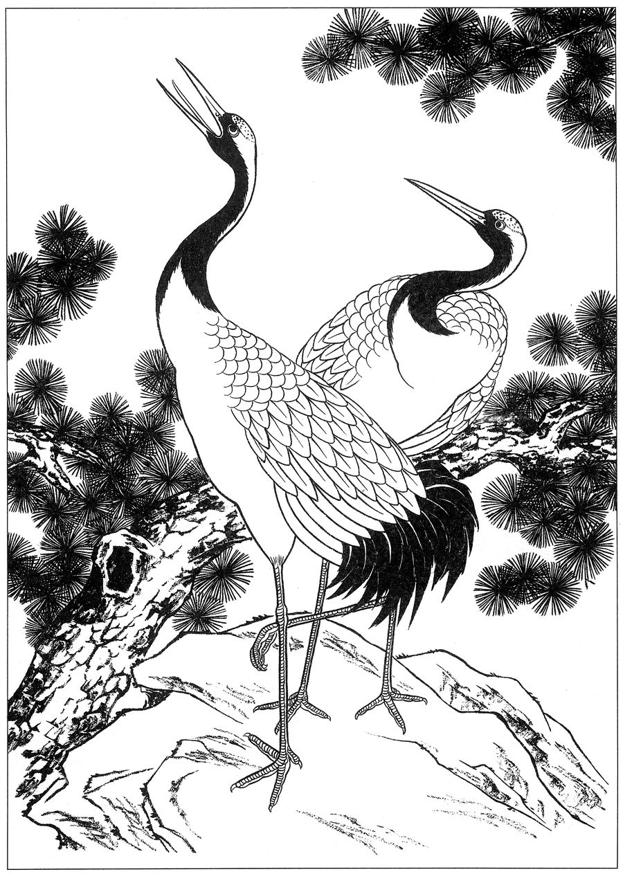 仙鹤桃子工笔白描稿,工笔画仙鹤高清图上色步骤图