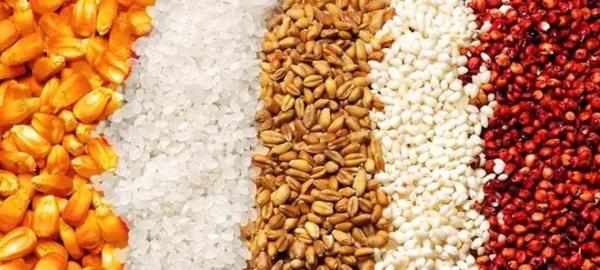 日常饮食分为几类,日常食物大全表