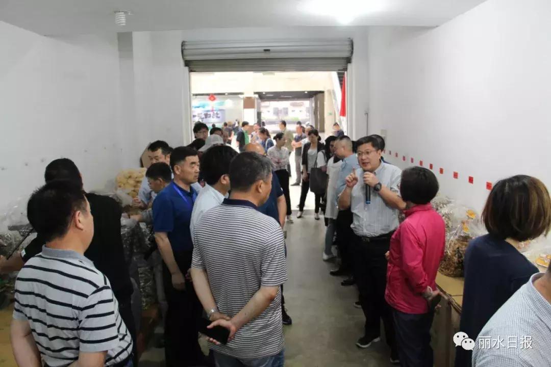 红色新丽水,红色浙西南央视