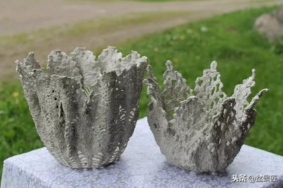 废物改造花盆绿植,旧物改造吊兰花盆