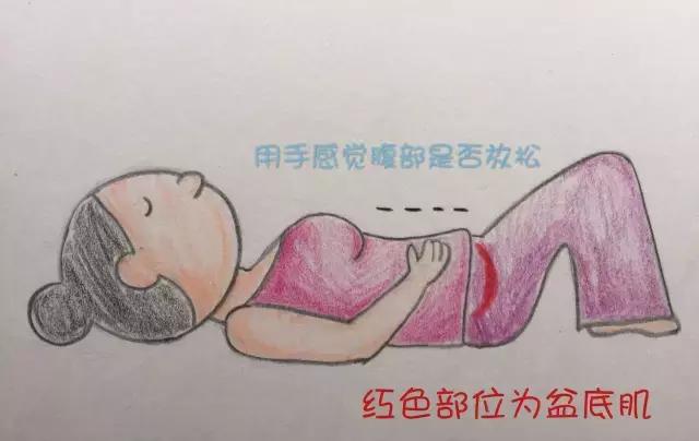 「盆底肌训练入门必修」如何不让腹部参与盆底肌训练