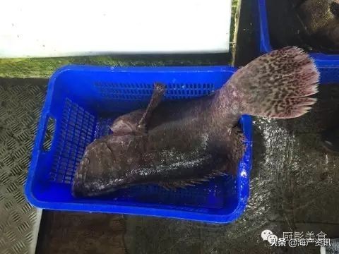 这些诱人的美食你吃过吗,世界上顶级海鲜大全你吃过几种