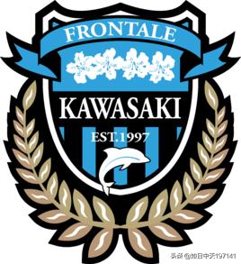 日联杯有几回合,日联杯为什么爆冷