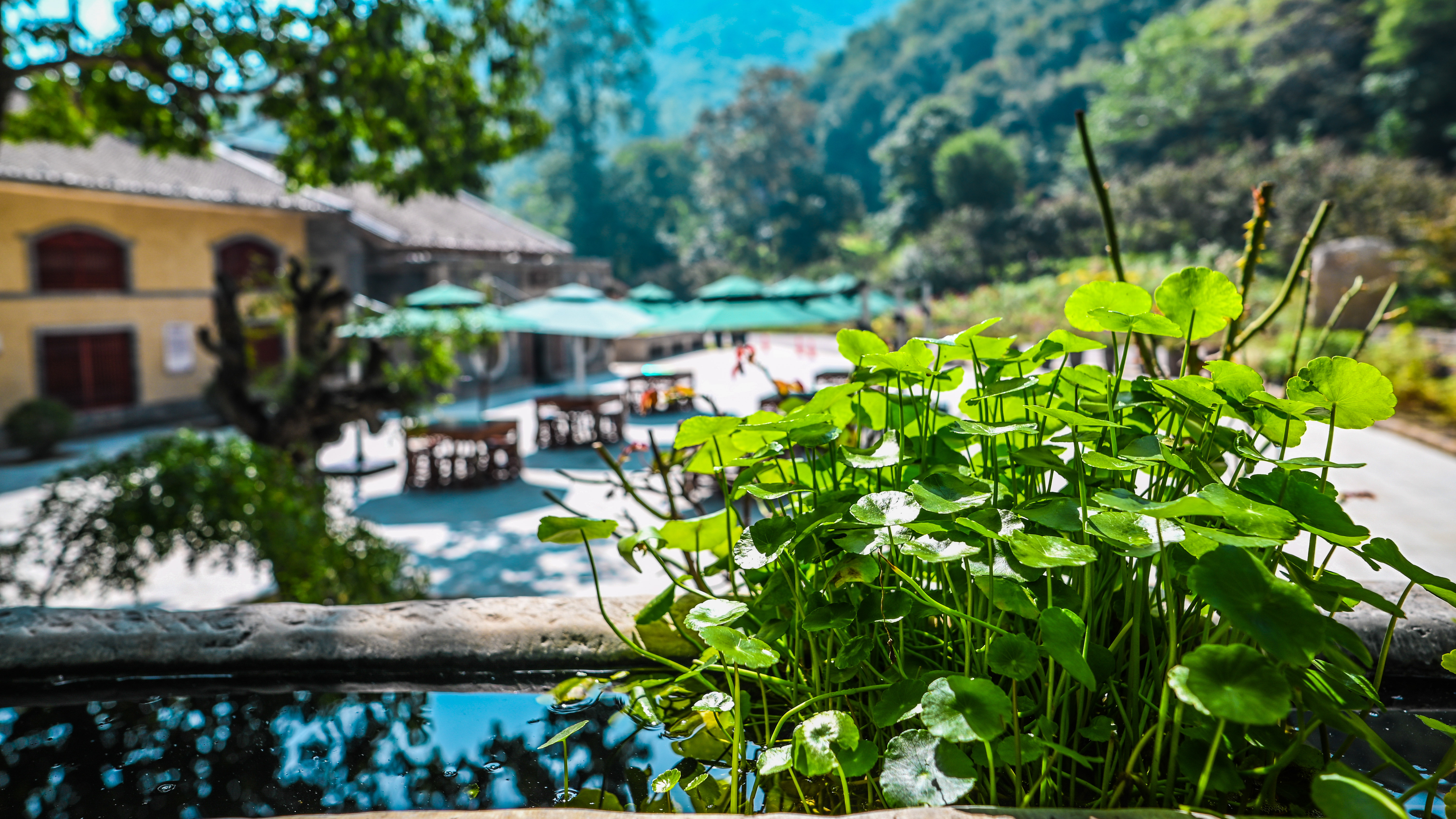 云丘山：我向往的生活，田园的诗意栖居