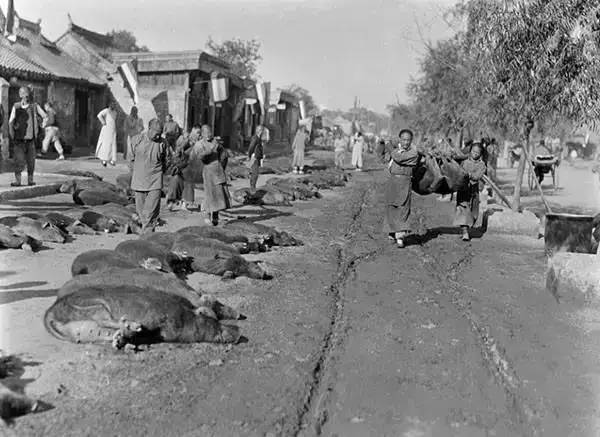 姘戝浗鏃╂湡娴欐睙鍏ㄥ浘,姘戝浗鍚勭渷鍥剧墖