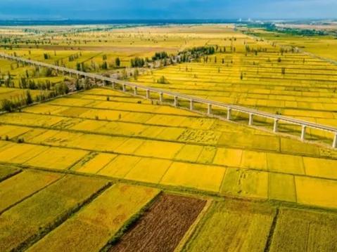 宁夏银川是省会城市吗,宁夏最没有存在感的地区
