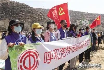 乡村振兴果树种植基地建设项目,种植经济林吹响乡村振兴冲锋号