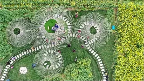 城市公园怎么玩,公园玩法