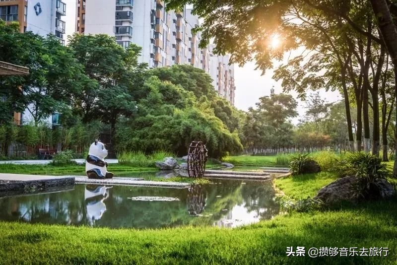 来成都逛绿道,逛绿道