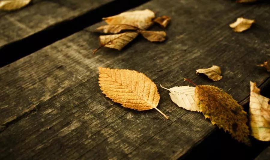 四个人的友情总有一个人多余,三人的友情总有一个人是多余的