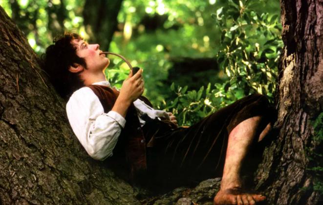 一口气看完史诗级指环王,难以超越的史诗巨制指环王