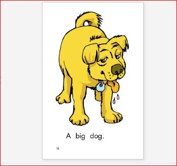 分级阅读选择raz的理由,raz分级阅读要掌握到什么程度