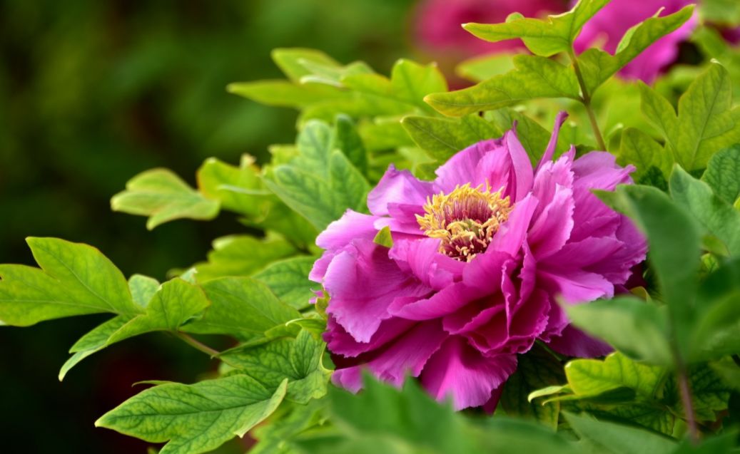 有关谷雨的诗词名句,谷雨诗词汇总