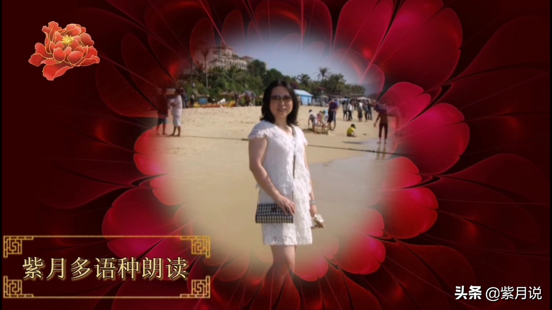 紫月中文朗读版,苏轼水调歌头朗读视频和句子