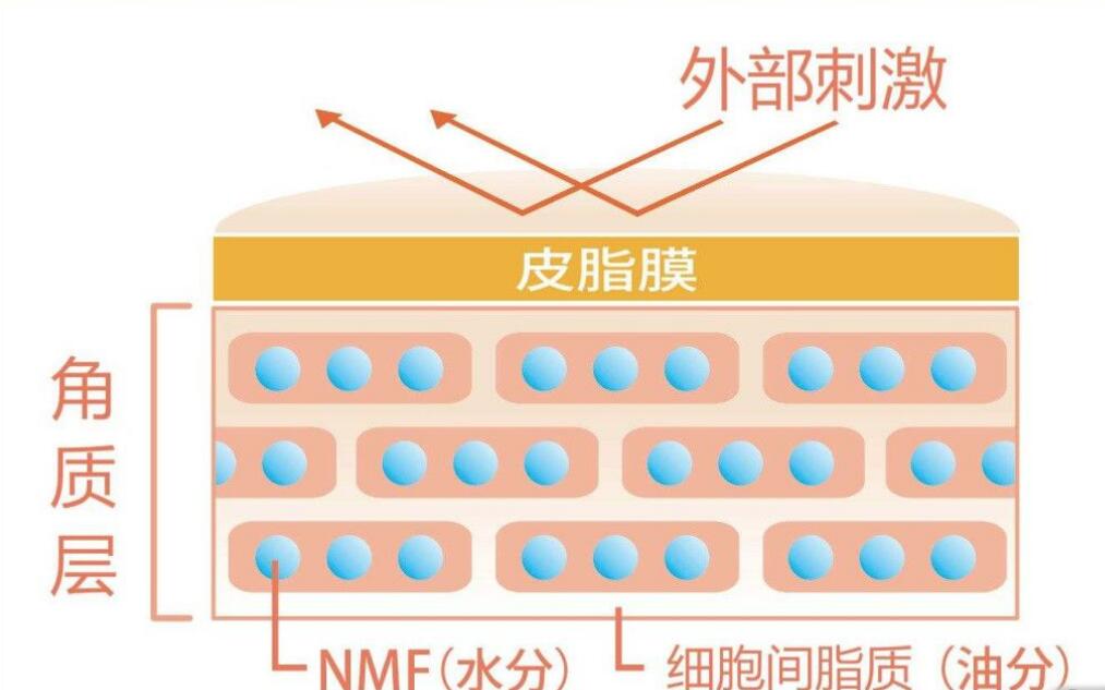 洗澡的时候搓下来的黑泥放大100倍,搓澡下来的黑泥是什么显微镜