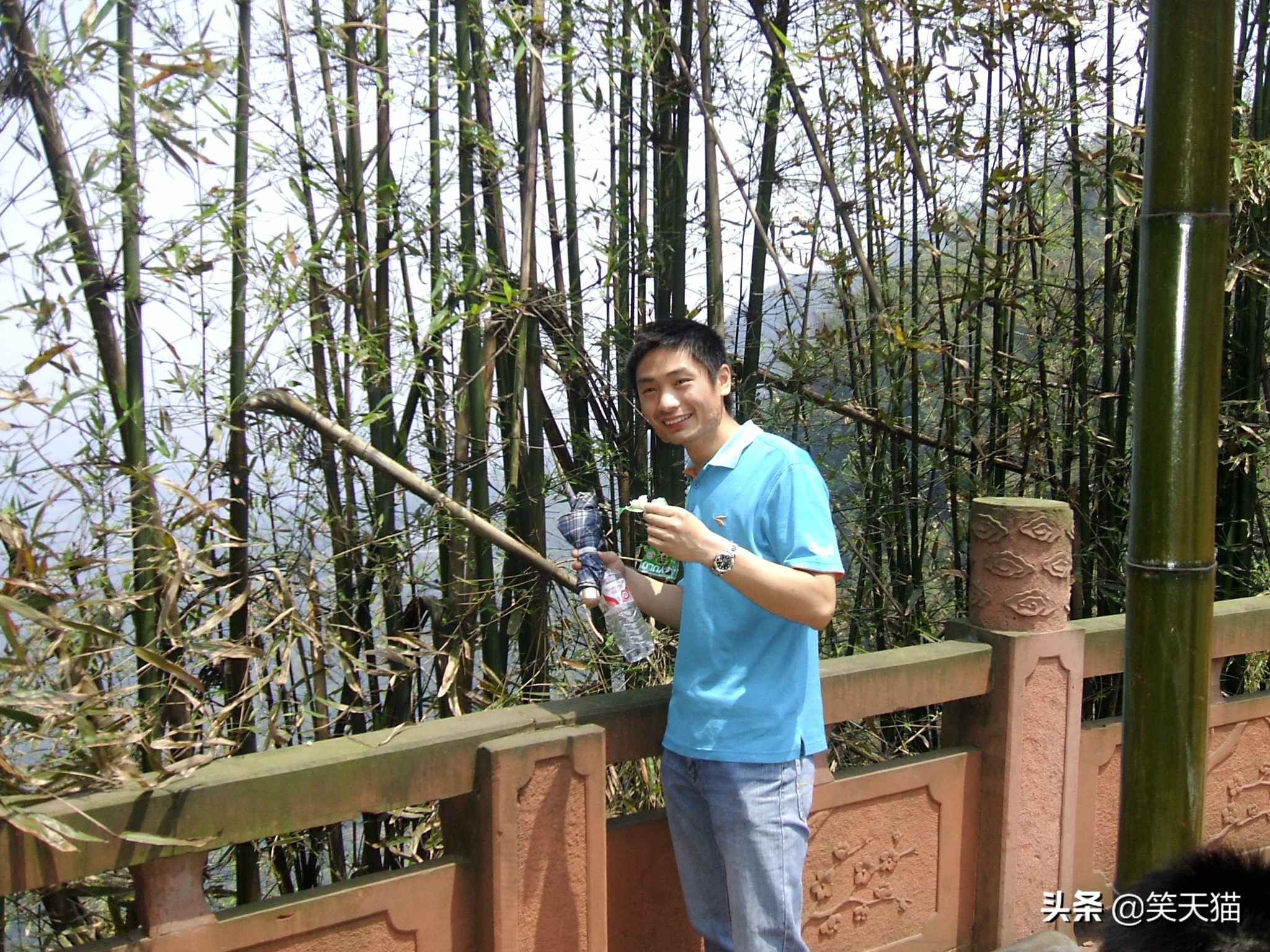 四川宜宾竹海风景,宜宾蜀南竹海全视频