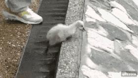 把中间的门店租下来取什么名字好,租下门面不知道取什么名字