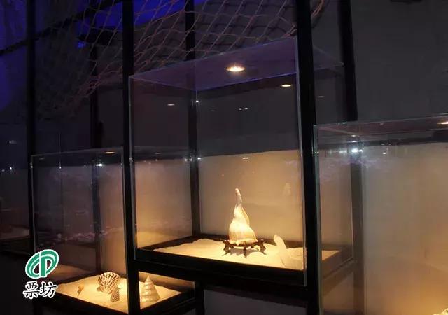 罗源湾海洋世界鲨鱼,汕头水母海洋世界图片