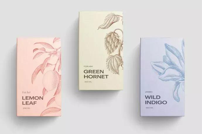 八上美术土特产包装设计学生作品,食品电商微商包装图怎么拍摄