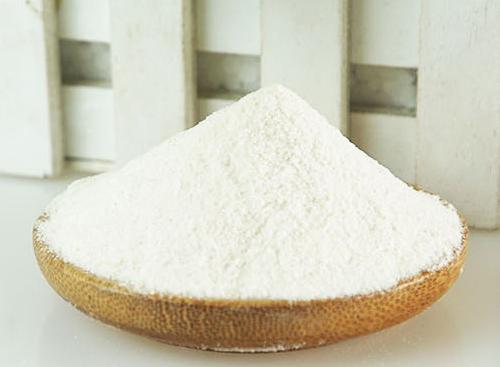 四个月的狗狗感冒,四个月的狗感染病