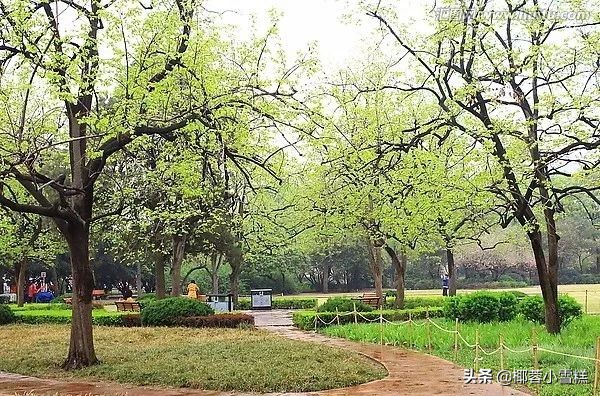 郑州适合晨跑的地方,郑州晨跑圣地