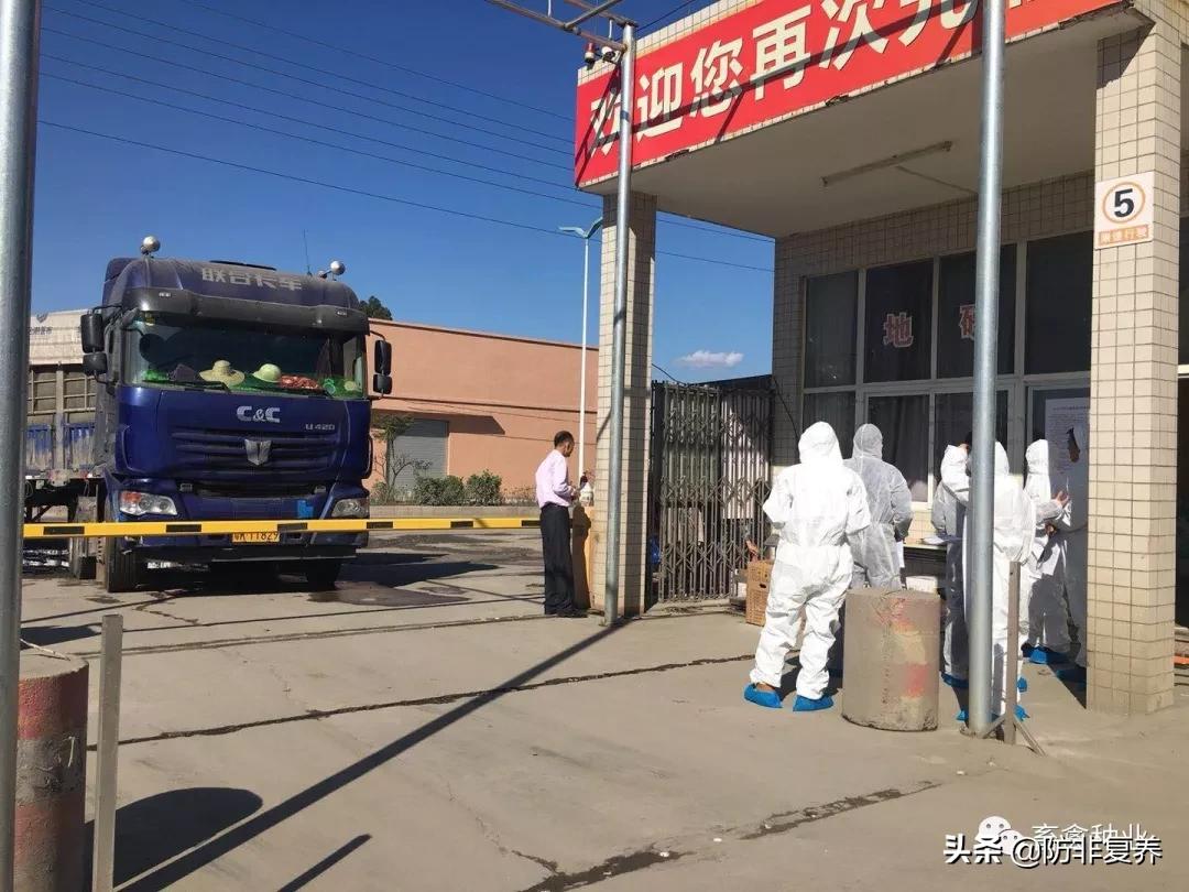 非瘟预防消毒,非瘟防控刻不容缓