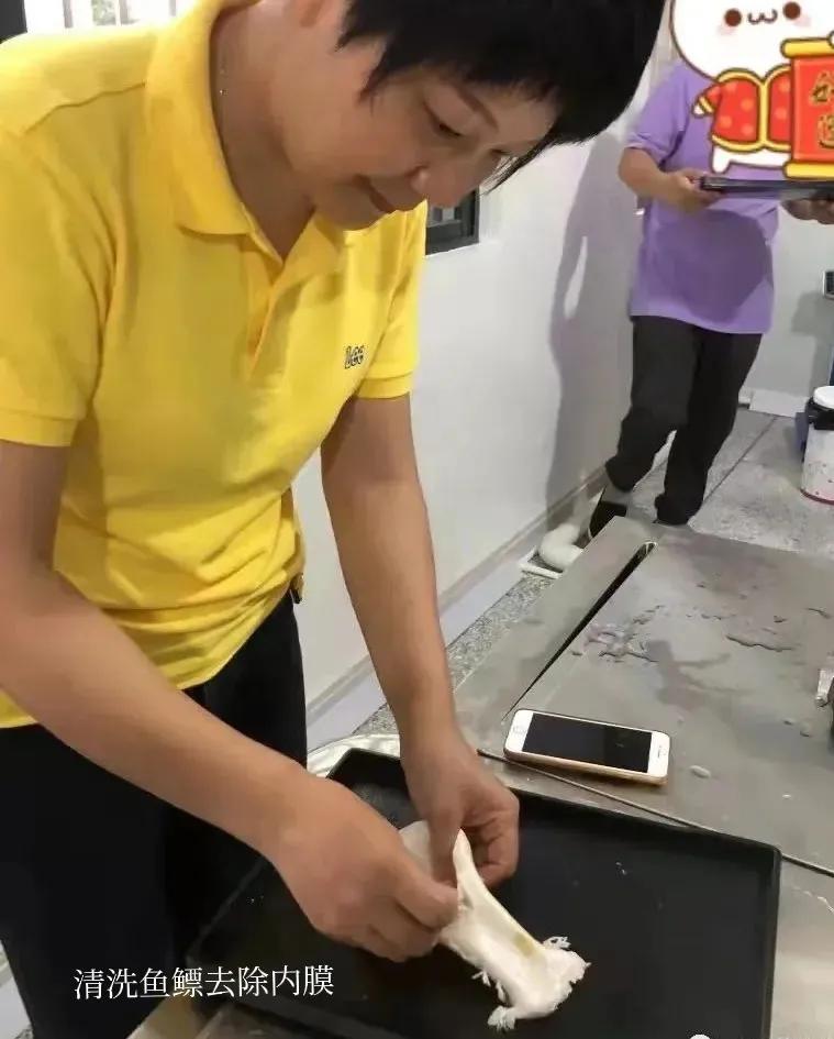 花胶鱼胶做法教程窍门视频下载,花胶鱼胶是怎么制作出来的